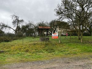 Annonce vente terrain terrain de 2925m2 à Les etangs (57530) - ParuVendu.fr ref 9927838665