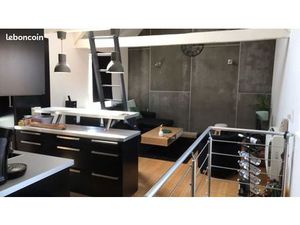 Appartement type Loft