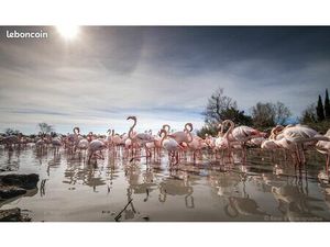 Location appartement F3