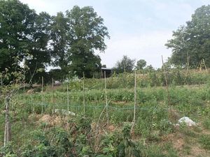 Micro ferme en agriculture et maraichage biologique à 1H30 de Paris et 15 mn de Toucy