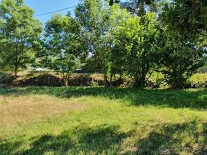 Vente terrain 961 m² à Pézilla-la-Rivière (66370)  195 000 €