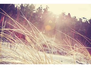 Vente terrain 985 m² à Lugos (33830)  98 500 €