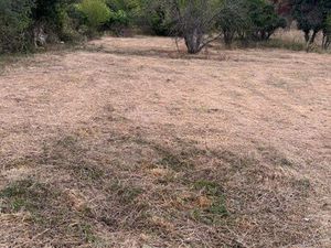 Terrains 1500m2 à louer