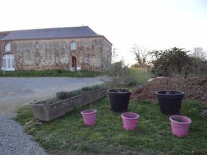 Maison de plain-pied à louer