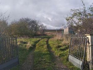 Location de terrain agricole