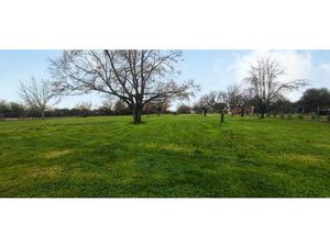 Terrain constructible plat arbore