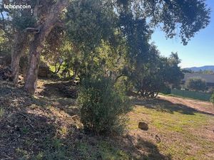 Terrain 1 200 m² Vidauban