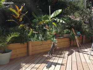 Appartement avec jardin 125 M2  dont dépendance locative