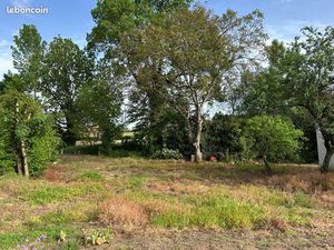 Terrain constructible