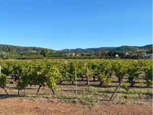 Terrain agricole pour maraîchage