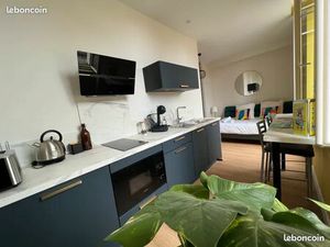 Magnifique appartement 1 pièce centre-ville