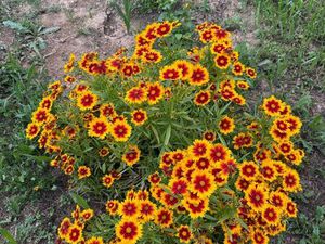 Recherche à vendre ou à louer terrain avec eau