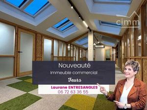 Immeuble professionnel refait à neuf – Feurs centre