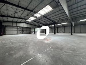 Location Local d'activités Geispolsheim 67118