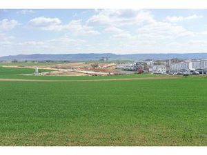 Terrain à vendre de 10000 m² à Hoeselt (VBD61486)