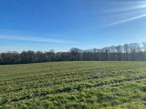 Vente Terrain à Plonéis (29710) : à vendre / Plonéis