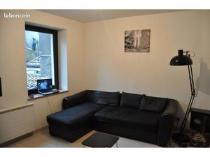 Petit F2 lumineux centre ville