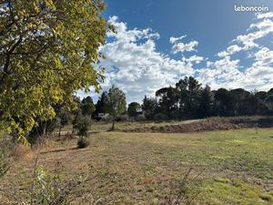 TAB + Libre Constructeurs + Prix en Direct