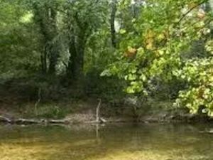 Terrain de loisirs / rivière