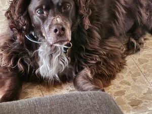 Recherche appartement à louer à Morteau