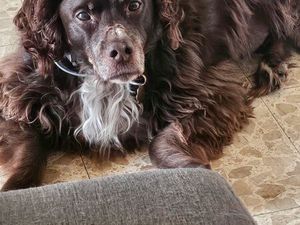 Cherche appartement à louer à Valdahon