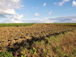 Terrain à vendre à Jauche € 91.100 (LI9PB) - Comptoir Foncier | Zimmo