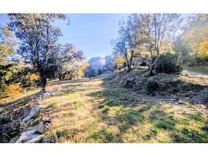 Terrain Oms m² T- à vendre  180 000 €