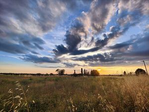 Vente terrain constructible Puimoisson  83 000€ Alpes-de-hautes-provences Paca N°