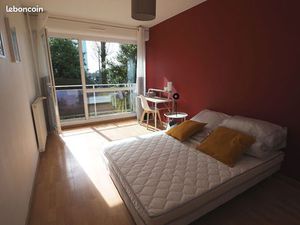Appartement 1 pièce 14 m²