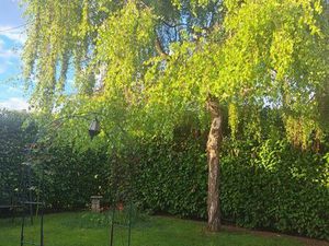 Maison à louer à Saint Marcel 27950