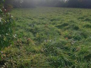 MARTINAUD Richard Capifrance