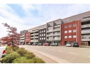 Instapklaar 1-slaapkamerappartement binnen de ring van Ti...