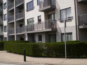 Studio de 40m2. Rez de chaussée avec jardin á Auderghem