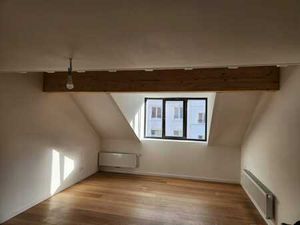 CENTRE TOTALEMENT RENOVE APPARTEMENT 50M2
