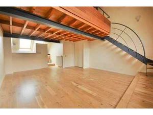 Appartement duplex 1 chambre