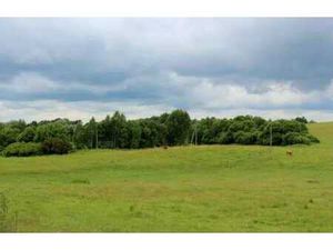 Grand terrain de 5.000m² sans permis