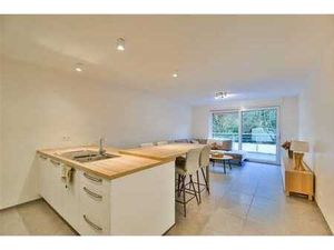 OPTION OPTION OPTION !