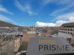 Appartement rénové 1 chambre - quartier Hors-Château