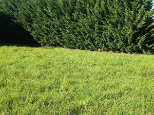 Terrain 1 200 m² Polliat