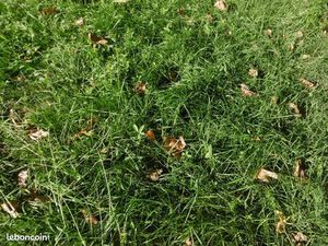 Perrex- parcelle de terrain hors lotissement