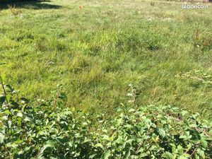 Terrain 316 m² Servas