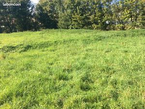 Terrain 1 150 m² Ceyzeriat