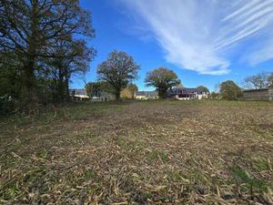 Vente Terrain à Caro (56140) : à vendre / 8460m² Caro