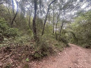 Terrain 11265 m² Puget-Ville