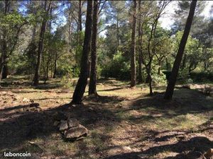 Terrain de Loisirs Petit bout de Provence à moindre coût Le Beausset Var 20/m2