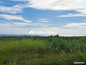 Terrain 773 m² Goyave