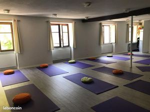 Local professionnel loué actuellement en salle de yoga