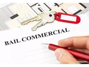 Cession droit au bail commercial emplacement de choix sur la rn3 plaines des cafres