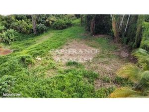 Terrain 1 187 m² Le Lamentin