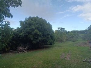 Terrain à vendre Saint François